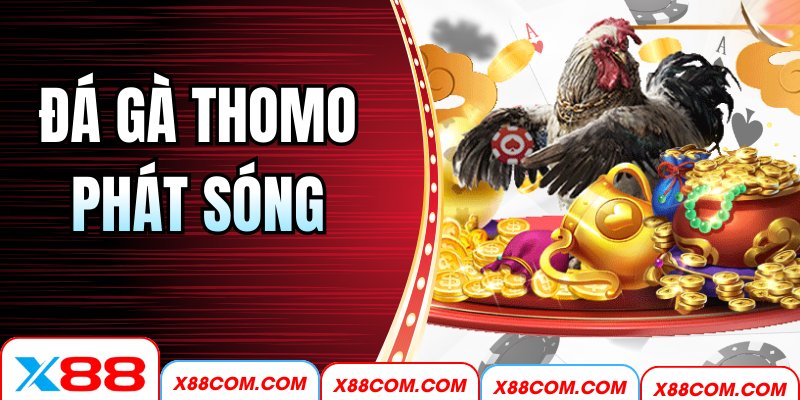 Đá Gà Thomo Phát Sóng