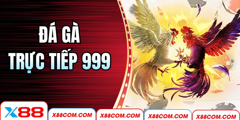 Đá Gà Trực Tiếp 999