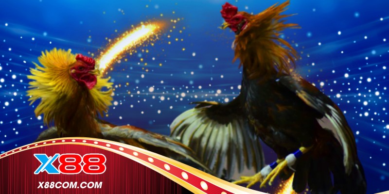 Giao diện Thomo phát sóng với đường truyền ổn định