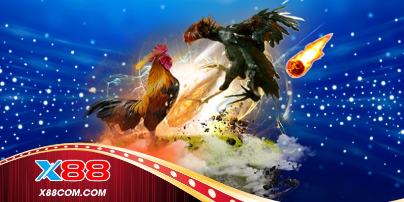 Phân tích phong độ trước khi tham gia 